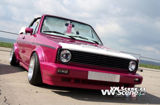 Tweety a Háďátko: část první