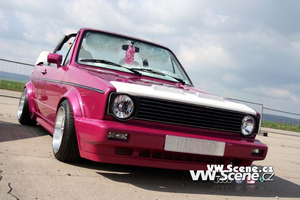 Tweety a Háďátko: část první