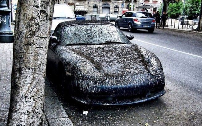 Nehody a faily řidičů vozů Porsche