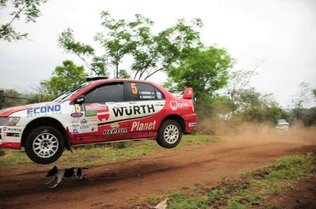 Pes, který se na rallye jen tak nepodívá